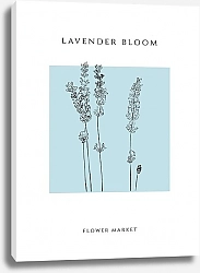 Постер Kate Korol Lavender