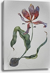 Постер Risovaka Увядший тюльпан
