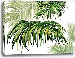 Постер Marina Kildysh Пальмовые ветви