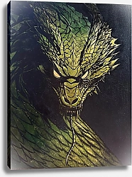 Постер Natalia Mikhailova Зеленый дракон