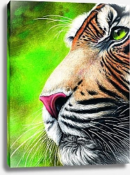 Постер Татьяна Баженова Тигр