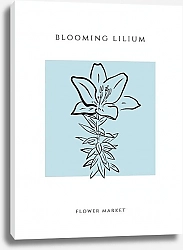 Постер Kate Korol Blooming lily