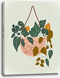 Постер Светлана Соловьева Philodendron plant