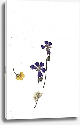 Постер Диана Некрасова Цветы  из дневникам
