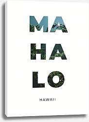 Постер Karybird Hawaii 2