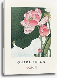 Постер Karybird Flowering Lotus