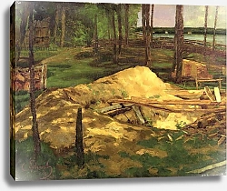 Постер Шух Карл Sawdust Pit, 1876