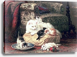 Постер Роннер-Нип Генриетта Cat with her Kittens on a Cushion