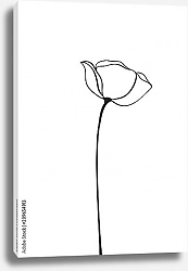 Постер Цветок мака из линий
