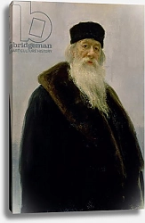 Постер Репин Илья Portrait of Vladimir Vasil'evich Stasov 1900