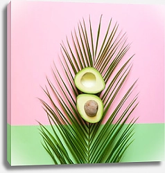 Постер Спелый авокадо на пальмовом листе на цветном фоне