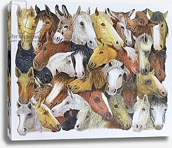 Постер Скотт Пэт (совр) Horses Horses