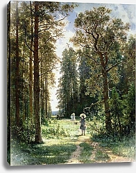 Постер Шишкин Иван The Path through the Woods, 1880