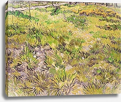 Постер Ван Гог Винсент (Vincent Van Gogh) Meadow with Butterflies, 1890