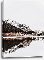 Постер Горное озеро, скалы и лес