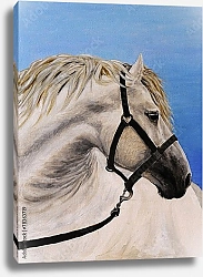 Постер Белый конь в борозде