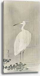 Постер Косон Охара Egret in rain