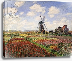 Постер Моне Клод (Claude Monet) Tulip Fields with the Rijnsburg Windmill, 1886