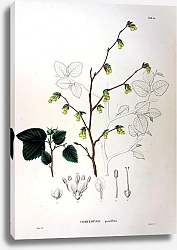 Постер Флора Японии №19
