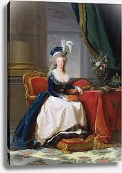 Постер Виджи-Лебран Элизабет Marie-Antoinette 1788