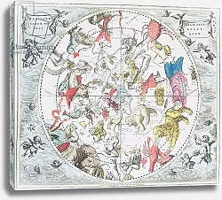 Постер Селлариус Адре (карты) Celestial Planisphere Showing the Signs of the Zodiac, from 'The Celestial Atlas', 1660-61