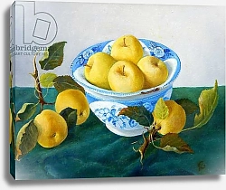 Постер Анжелини Кристиана (совр) Apples in a Blue Bowl, 2014