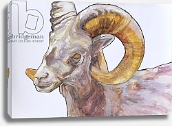 Постер Гиббс Лоу (совр) American Long Horn, 2004