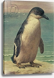 Постер Маркс Генри Study of a Penguin