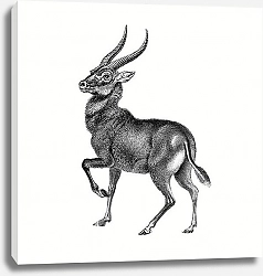 Постер Vintage antelope wildlife