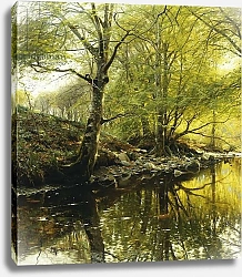 Постер Монстед Петер A Wooded River Landscape, 1910