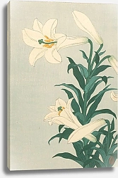 Постер Косон Охара Lilies