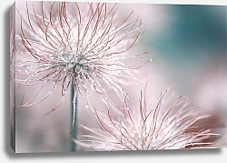 Постер Мокрые цветы в каплях росы