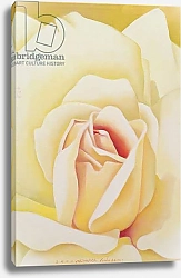 Постер Сим Миунг-Бо (совр) The Rose, 2002 1