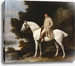 Постер Стаббс Джордж A Gentleman on a Grey Horse in a Rocky Wooded Landscape, 1781