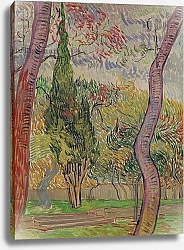 Постер Ван Гог Винсент (Vincent Van Gogh) The Park at the Saint-Paul Hospital, 1889