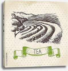 Постер Иллюстрация с чайными плантациями