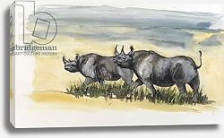 Постер Сандерс Франческа (совр) black rhinos in Masai mara, 2012,
