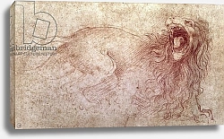 Постер Леонардо да Винчи (Leonardo da Vinci) Sketch of a roaring lion