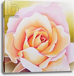 Постер Сим Миунг-Бо (совр) The Rose, 2002 4
