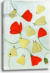 Постер Мур Меган (совр) Poppies & Moths, 2015