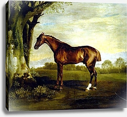 Постер Стаббс Джордж A Chestnut Racehorse