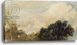 Постер Констебль Джон (John Constable) Cloud Study with Trees, 1821