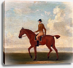 Постер Сеймур Джеймс One of Four Portraits of Horses - a Chestnut Racehorse with Jockey Up 1730