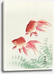 Постер Две золотые рыбки (1926)
