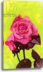 Постер Адамсон Джордж (совр) Bright Rose, 1980s