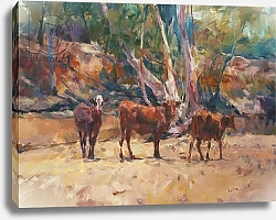 Постер Роберт Боулз Чарльз (совр) Pilbara Cows