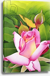 Постер Сим Миунг-Бо (совр) The Rose, 2002 2