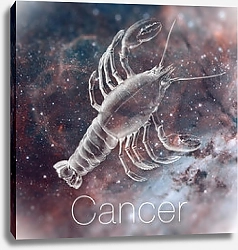 Постер Астрологический знак зодиака - Рак