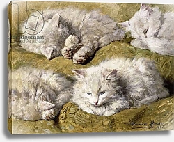 Постер Роннер-Нип Генриетта Studies of a Long-haired White Cat, 1896