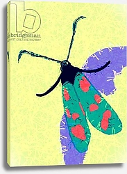 Постер Бернат Сильвер (совр) Beautiful Bug, 2019,